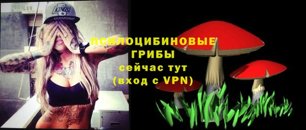 альфа пвп Лабытнанги