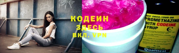 apvp Вяземский