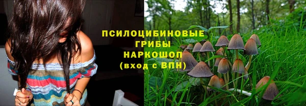 гидропоника Лагань