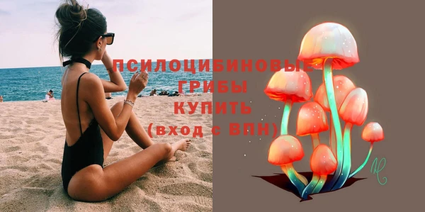 гидропоника Лагань